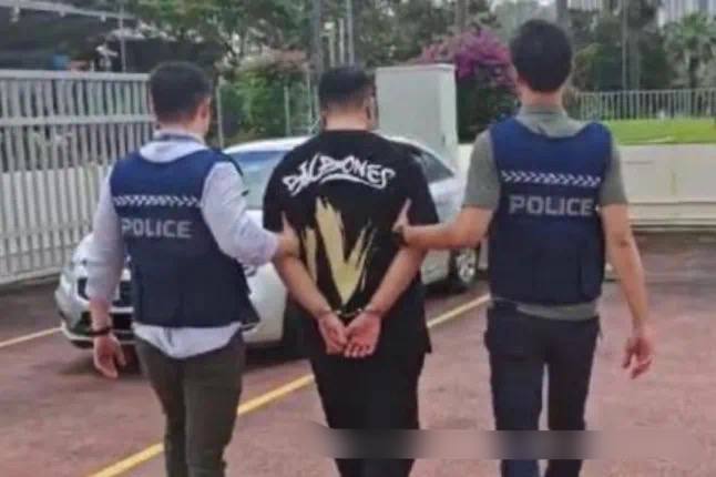 Singapore and Malaysia jointly combat telecom fraud